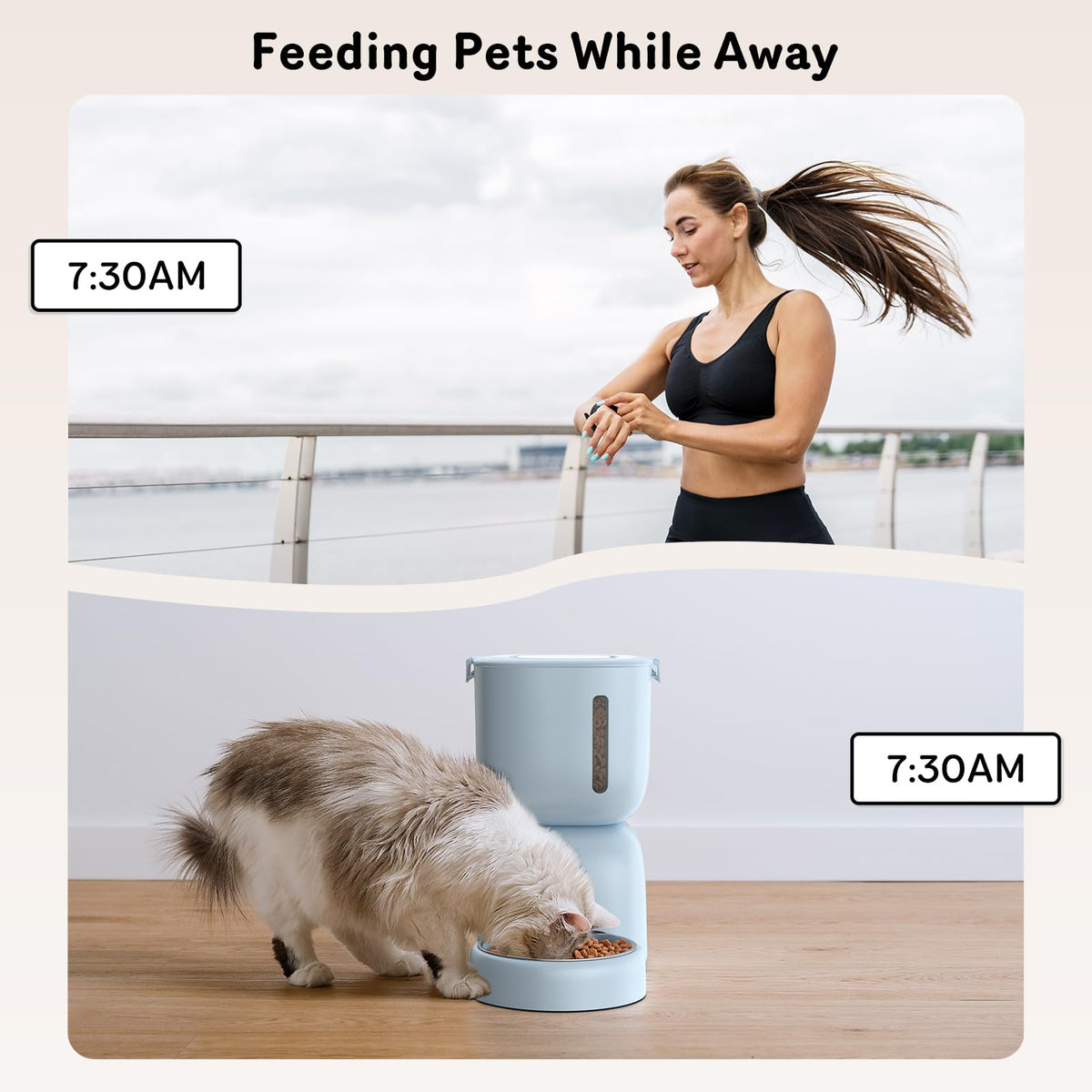 Automatic Cat Feeder and Water Dispenser FW1, Wire or Battery Cat Food Dispenser Timer Pet Feeder - Locking Lid, Desiccant Bag, Programmable Portion Control, 4 Daily Meals, 10s Voice Recorder