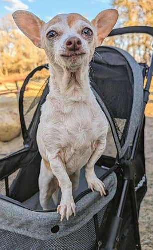 ROODO 3 Wheel Dog Pet Cat Stroller Best Lightweight Foldable Compact Portable Jogger All Terrain Travel Pet Gear Puppy Kitty Stroller for up to 30lbs Medium Small Dogs and Cats(Light Khaki)