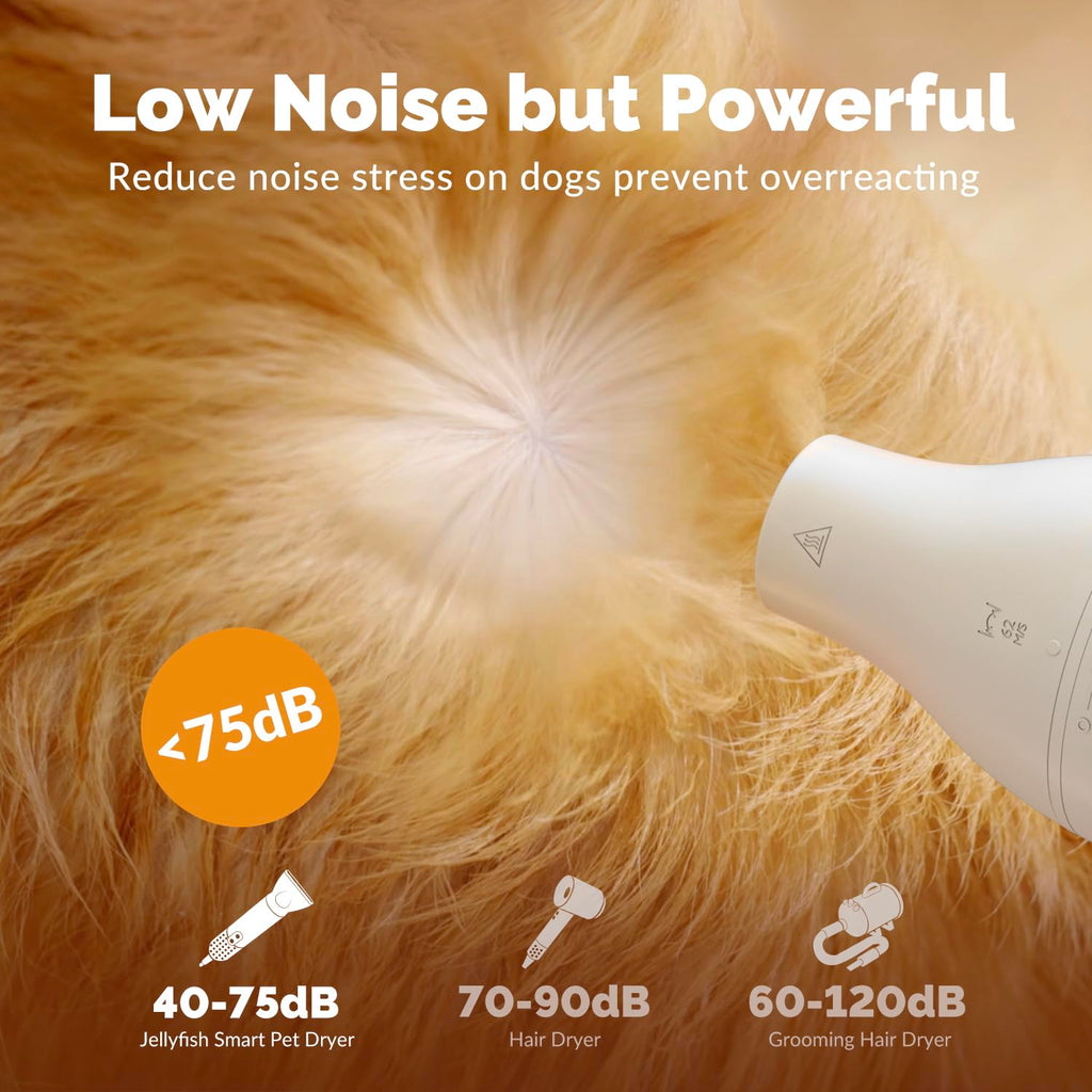 2 in 1 Grooming Kit for Pet-Dog Hair Dryer &amp; Professional Grooming Brush for Frizzy Dog Hair Styling-1.21lb Lightweight Handhold Portable High Velocity Force Blower+4 Replacement Nozzle at Home Travel